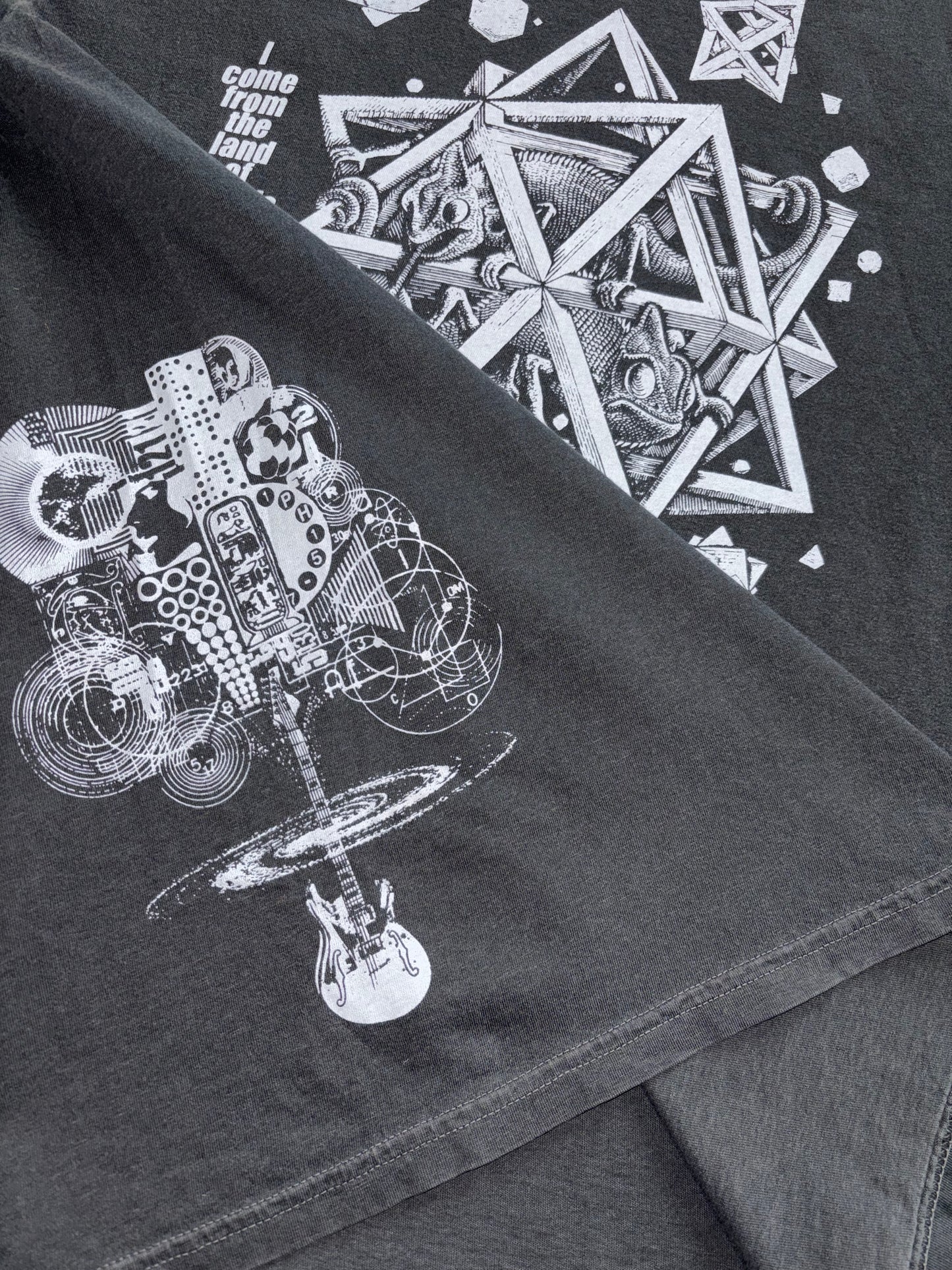 Lizards in the Round Room 360 t-shirt