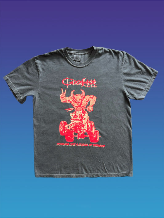 *PRE ORDER* GIZZFEST 2026 solid comfort colors