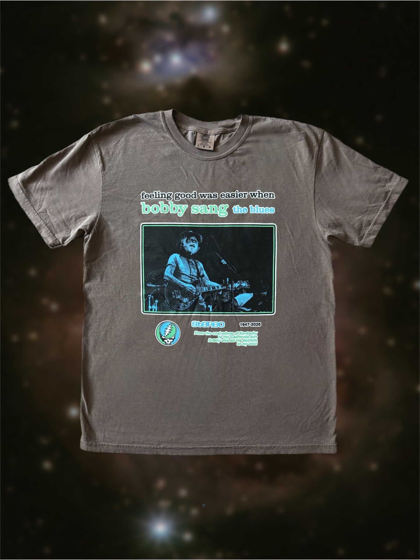 Bobby sang the blues solid comfort colors t-shirt