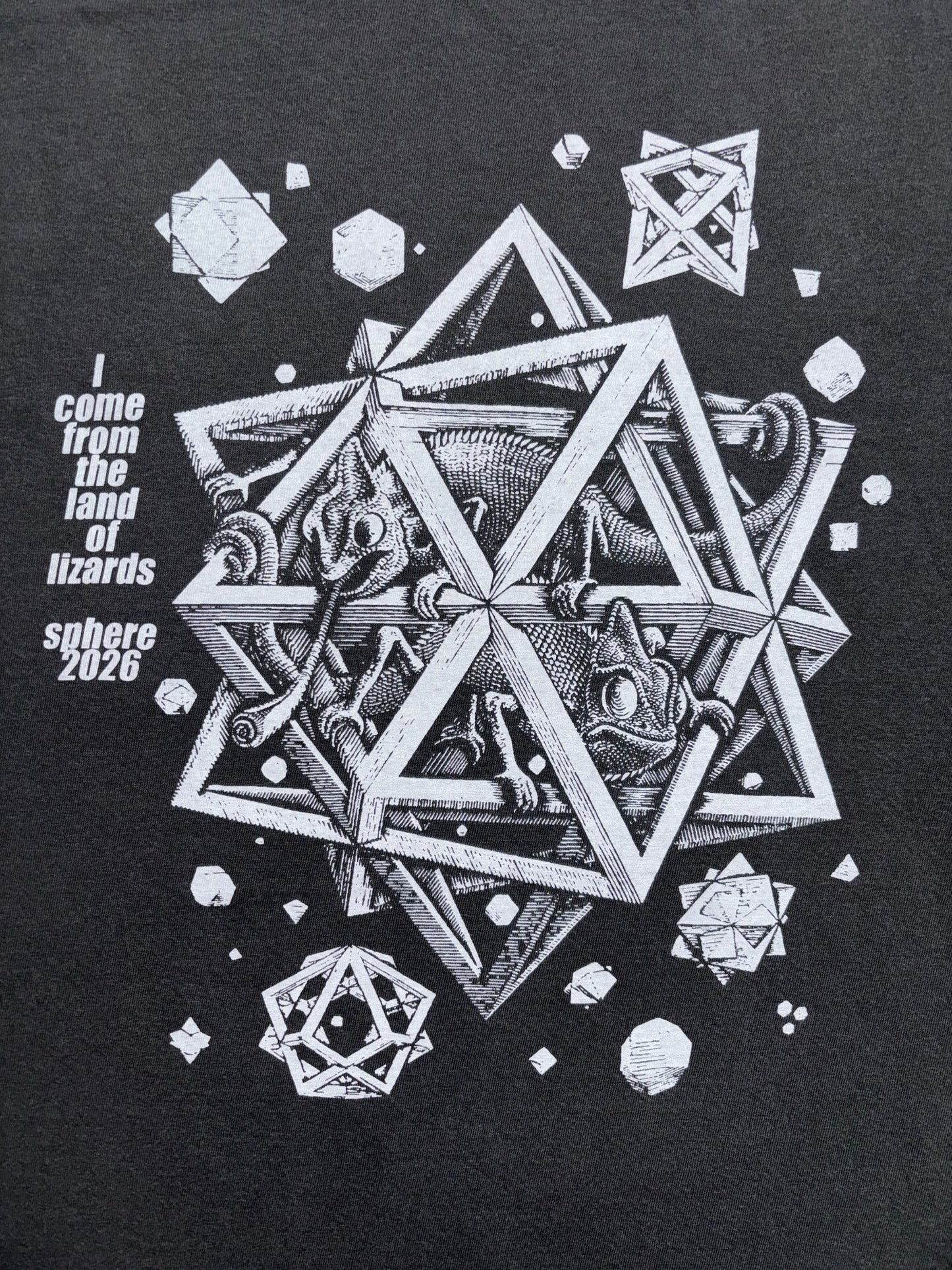 Lizards in the Round Room 360 t-shirt