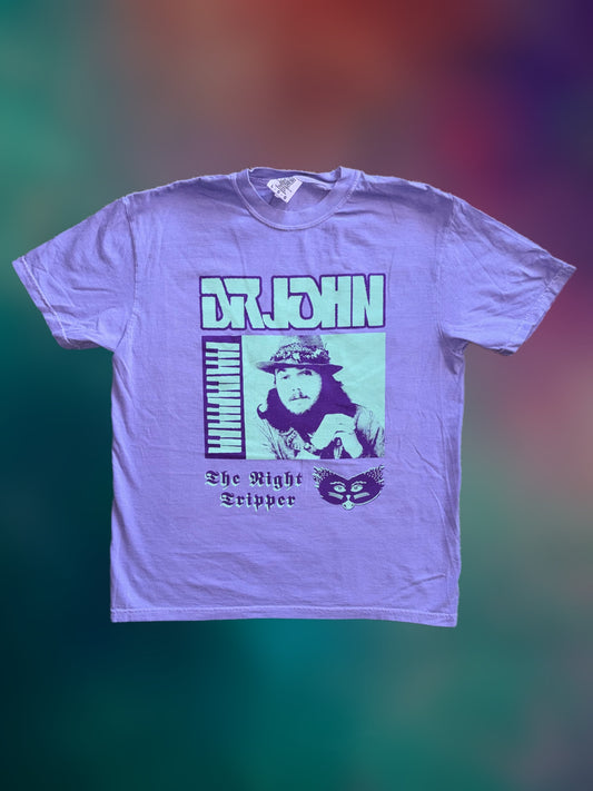 Dr. John 'The Night Tripper' violet comfort colors t-shirt